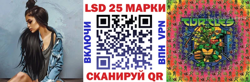 дарнет шоп  Заволжск  Наркотические марки 1,5мг 