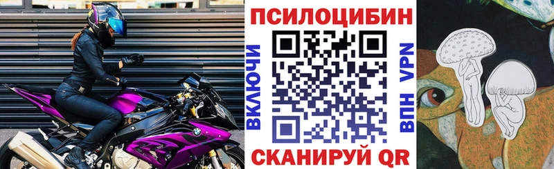 кракен   Заволжск  Галлюциногенные грибы мицелий  закладки 